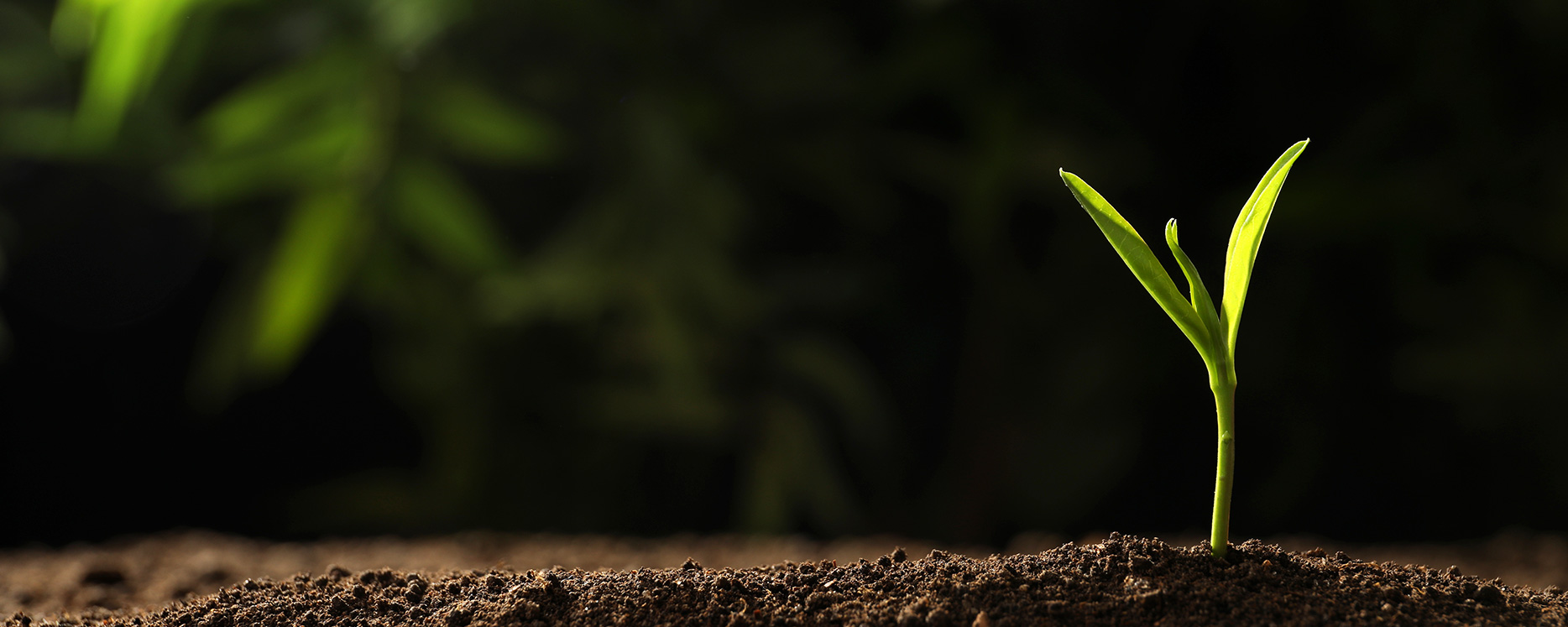 首页- 1win集团有限公司官方网站