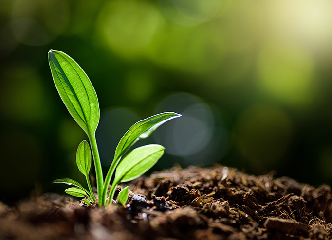 首页- 1win集团有限公司官方网站